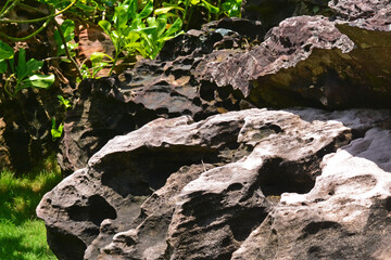 The uneven surface of a huge stone lit by the sun, close-up
