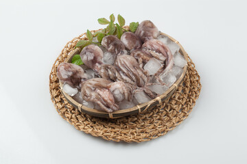 주꾸미,해산물,날것,스튜디,오실내,요리,음식재료