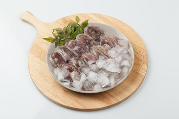 주꾸미,해산물,날것,스튜디,오실내,요리,음식재료