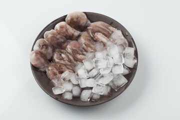 주꾸미,해산물,날것,스튜디,오실내,요리,음식재료