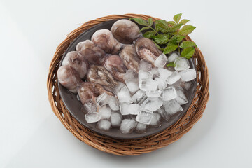 주꾸미,해산물,날것,스튜디,오실내,요리,음식재료
