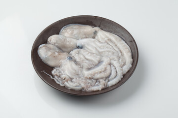 낙지,해산물,날것,스튜디,오실내,요리,음식재료