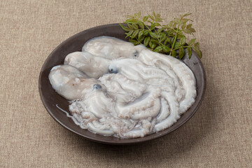 낙지,해산물,날것,스튜디,오실내,요리,음식재료