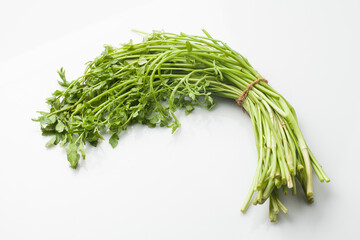 미나리,봄나물,뿌리,한약,한약재,건강,고해상,다수,두릅,사람없,음식물,신선,오브젝트,웰빙,조각보,채반,초록색,컨셉,하이앵글,화이트