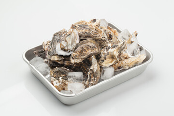 굴,누끼,사람없음,스튜디오,재료,조개,해산물,해산물,날것,스튜디,오실내,요리,음식재료