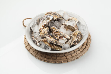 굴,누끼,사람없음,스튜디오,재료,조개,해산물,해산물,날것,스튜디,오실내,요리,음식재료