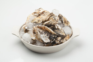 굴,누끼,사람없음,스튜디오,재료,조개,해산물,해산물,날것,스튜디,오실내,요리,음식재료