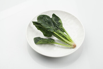 시금치,봄나물,뿌리,한약,한약재,건강,고해상,다수,두릅,사람없,음식물,신선,오브젝트,웰빙,조각보,채반,초록색,컨셉,하이앵글,화이트