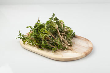 냉이,봄나물,뿌리,한약,한약재,건강,고해상,다수,사람없,음식물,신선,오브젝트,웰빙,조각보,채반,초록색,컨셉,하이앵글,화이트