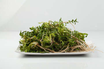 냉이,봄나물,뿌리,한약,한약재,건강,고해상,다수,사람없,음식물,신선,오브젝트,웰빙,조각보,채반,초록색,컨셉,하이앵글,화이트