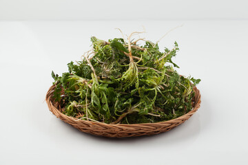 냉이,봄나물,뿌리,한약,한약재,건강,고해상,다수,사람없,음식물,신선,오브젝트,웰빙,조각보,채반,초록색,컨셉,하이앵글,화이트