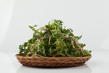 냉이,봄나물,뿌리,한약,한약재,건강,고해상,다수,사람없,음식물,신선,오브젝트,웰빙,조각보,채반,초록색,컨셉,하이앵글,화이트