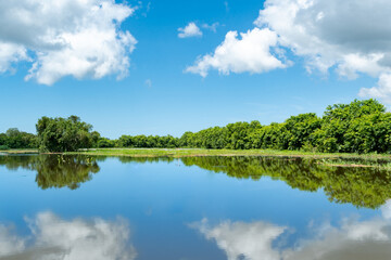 Fototapeta na wymiar Beautiful landscape of tropical foliage reflected into the waters of flooded agricultural land on the island of Trinidad in the Caribbean.