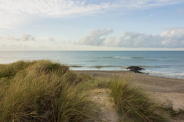 Coastal landscape with dune and  beach grass.