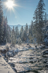 Sunny day on a trail to Polana Chochołowska, Western Tatra Mountains, Poland. Potok Chochołowski river flowingi in the valley. Selective focus on the forest, blurred background. © juste.dcv