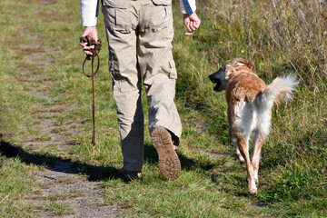 frau mit hund unterwegs