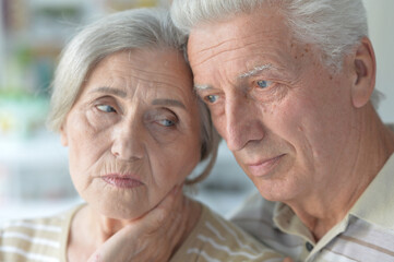 portrait of an elderly couple at home