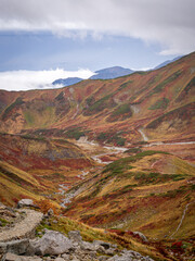 立山連峰から見下ろす雷鳥沢の風景