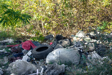 Large heaps of rubbish in the forest area. Massive forest pollution in Ukraine. A garbage heap in the forest