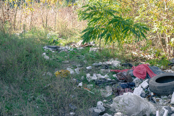 Large heaps of rubbish in the forest area. Massive forest pollution in Ukraine. A garbage heap in the forest