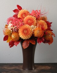 ハミルトンジュニア