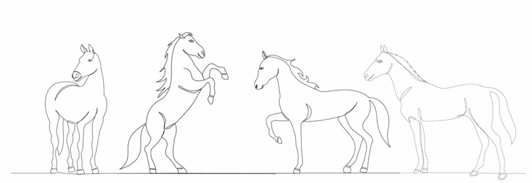 herd of horses drawing by one continuous line, vector