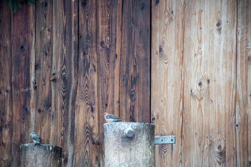 Natural wood texture on a wall. Plank wooden material, old vintage building extrerior, rough surface. Selective focus on the details, blurred background.