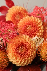 ハミルトンジュニア