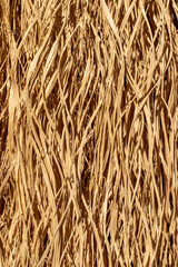 Straw texture background. Close up.