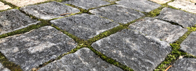 Wide banner of moss between cobblestones 