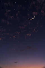 Obraz na płótnie Canvas night sky vertical with crescent moon