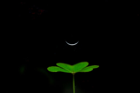 trebol y luna
