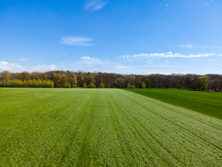 Fototapeta premium Aerial view of agricultural fields. Fields from above