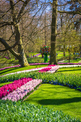 Keukenhof, The Netherlands - Tulip Keukenhof park in Holland