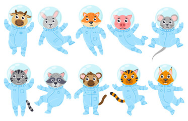Cartoon cute animals, pig, mouse and cat astronauts in space suits. Space cosmonauts raccoon, cow, monkey vector illustration set. Galaxy animals astronauts © WinWin