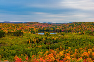 landscape in the fall