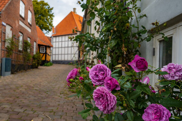 street in the old town