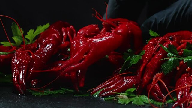 Chef cook putting prepared boiled crawfish.