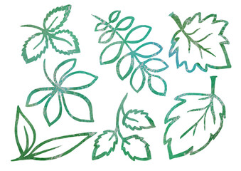Watercolor artistic multicolor Set of floral elements in the style of line art wedding theme on a white background for your design. Doodle and scribble. green gradient leafs for postcard and