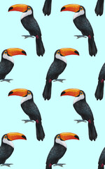 Obraz premium Seamless Pattern with hand-drawn Toucan , digitally colored
