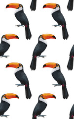 Seamless Pattern with hand-drawn Toucan , digitally colored