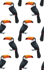 Obraz premium Seamless Pattern with hand-drawn Toucan , digitally colored