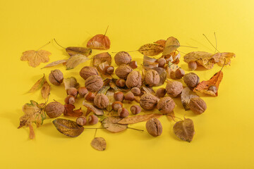 Walnuts with hazelnuts with dried leaves. The concept of autumn. Yellow background. 