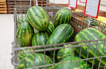 green watermelons in a metal container on a store counter