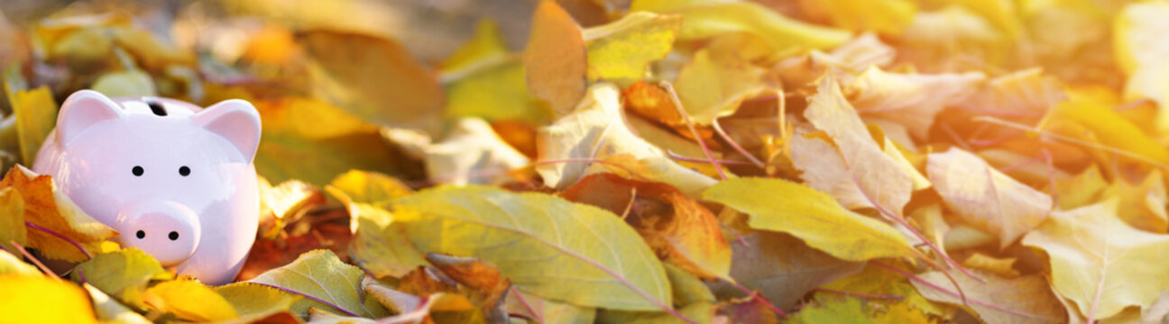 Pink piggy Bank in autumn leaves on the ground. Banking concept in autumn time. Banner