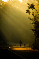 A woman walks her dog in the early morning illuminated by rays of sunshine through the mist