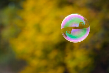 multicolored soap bubble on a yellow autumn background. Soap bubble. Isolated on yellow, autumn colors. reflex, detailed, close-up. multi-colored ball flies. holiday concept, childhood
