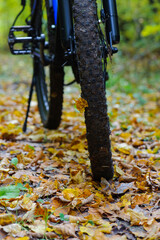 front wheel of a mountain bike. Mountain bike. stands in the forest, in dry autumn leaves. concept of cycling, repair or breakage, sports, outdoor activities. bike on trail, front wheel in focus.