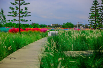 blurry abstract background of colorful meadows, a walkway to see the scenery, with a cool breeze blowing through while traveling