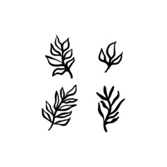 Little branches and floral doodles, hand drawn sketch drawings of plants, branches and leaves. Vector illustration.
